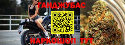 гашик Краснодар